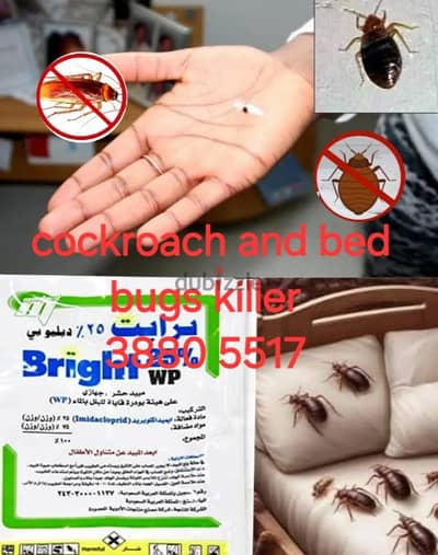 cockroach and bed bugs killer