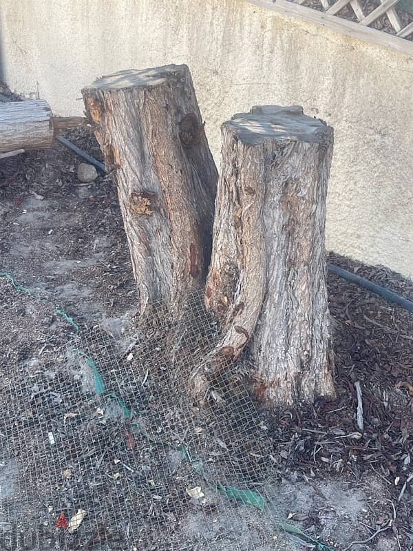 wood خشب للبر 0