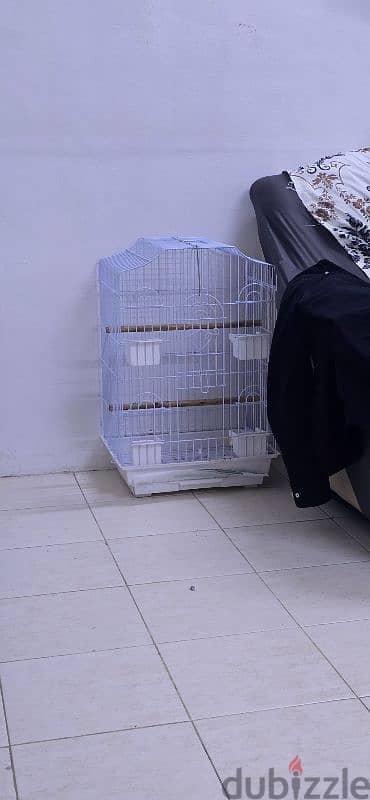 parrot birds cage for sale