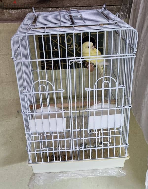 PARROT CAGE 0