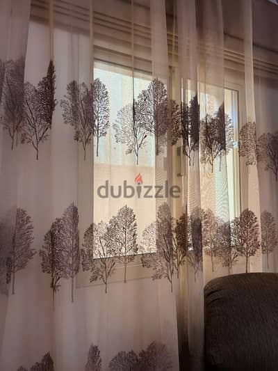 sedar eyelet translucent curtain