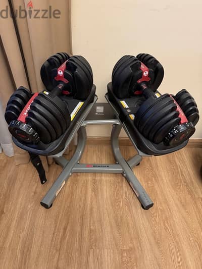 Bowflex Dumbells set with stand