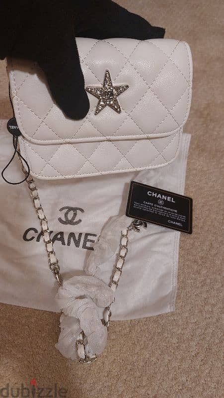 Channel crossbody mini bag 1