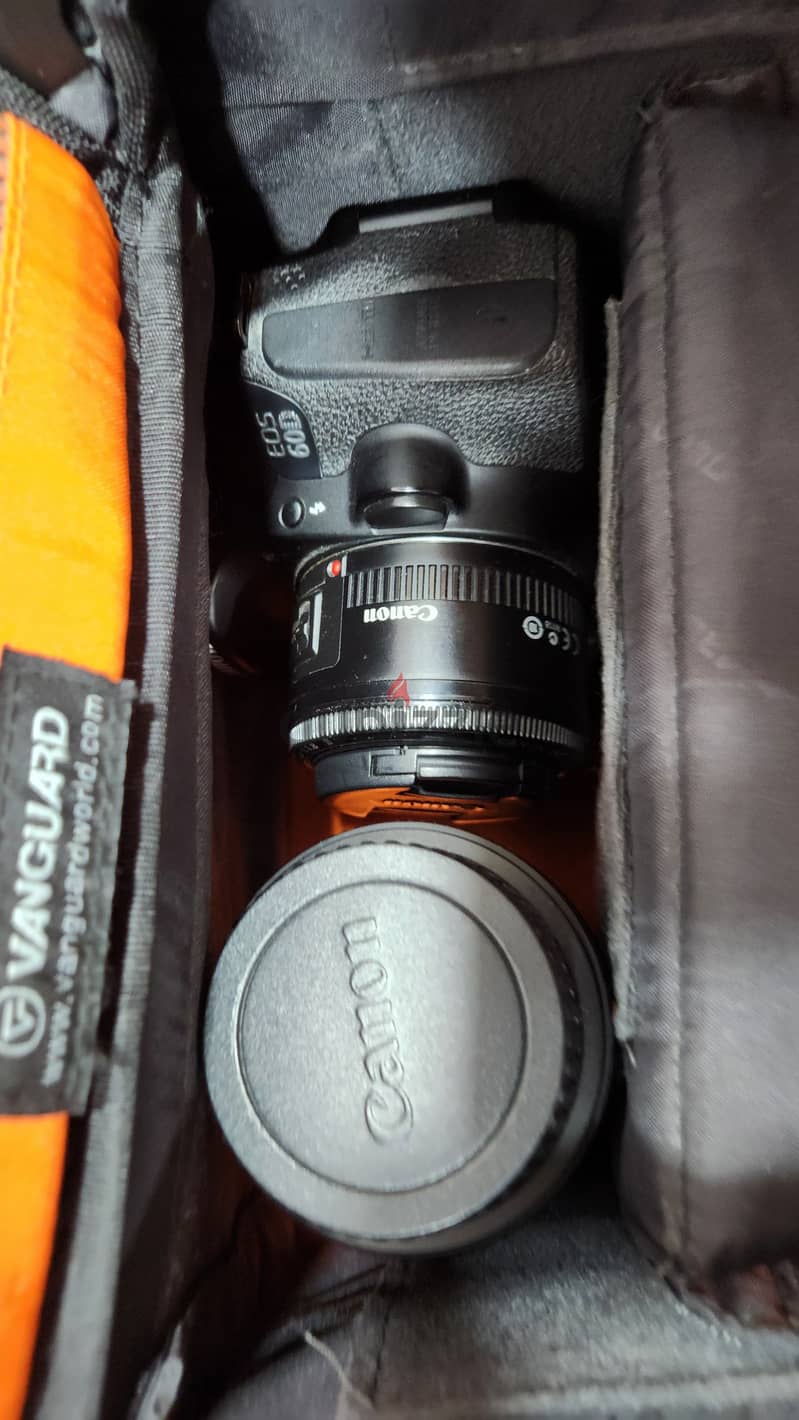 Canon EOS 60D with75-300mm Lens & 50mm 1.8 Lens &Original Vanguard bag 1