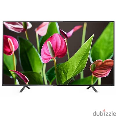 Zenet Full HD LED Television 50 inch (newl)