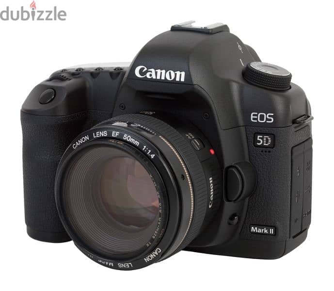 Canon 5D Mark 2, Tamron ( Canon mount) and Nikon Lens 2