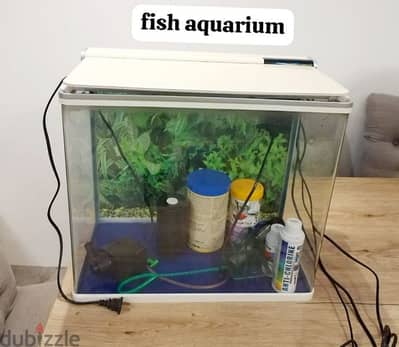 Fish tank with necessary equipment