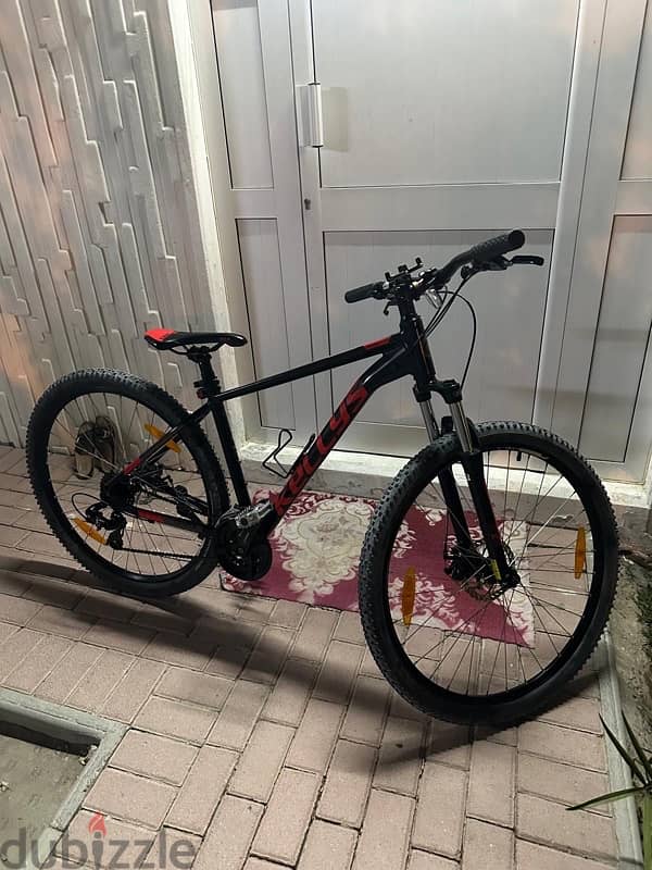 Kelly Bicycle Spider 30 – Like New Condition! 4