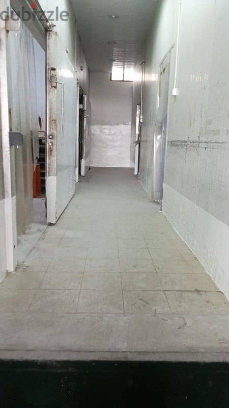 Seafood processing and cold storage facility available 19