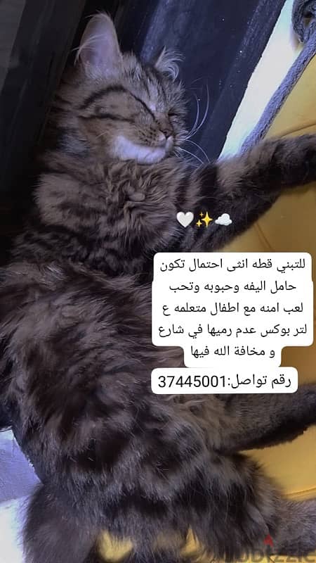 لتبني for adoption 1