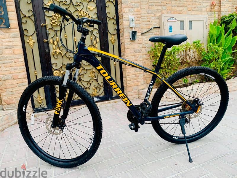 29" Branded MTB 1