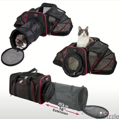 cat carrier