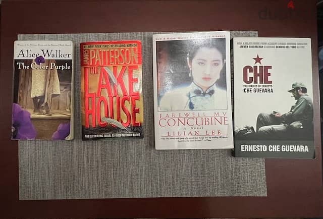 Leisure Reading Novels and School Grade 11-12 English Novels 1