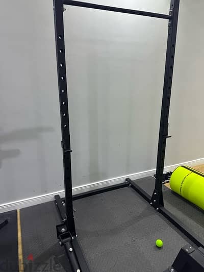 Rack with pullup and landmine