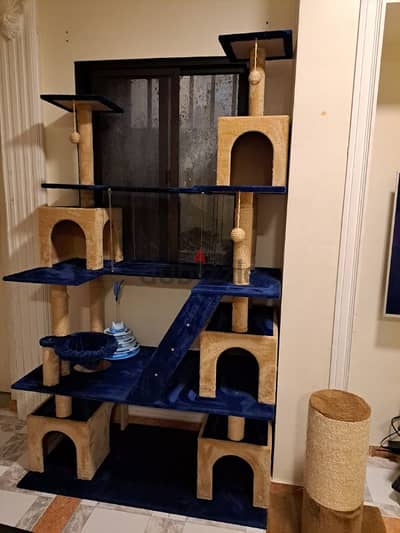 cat house