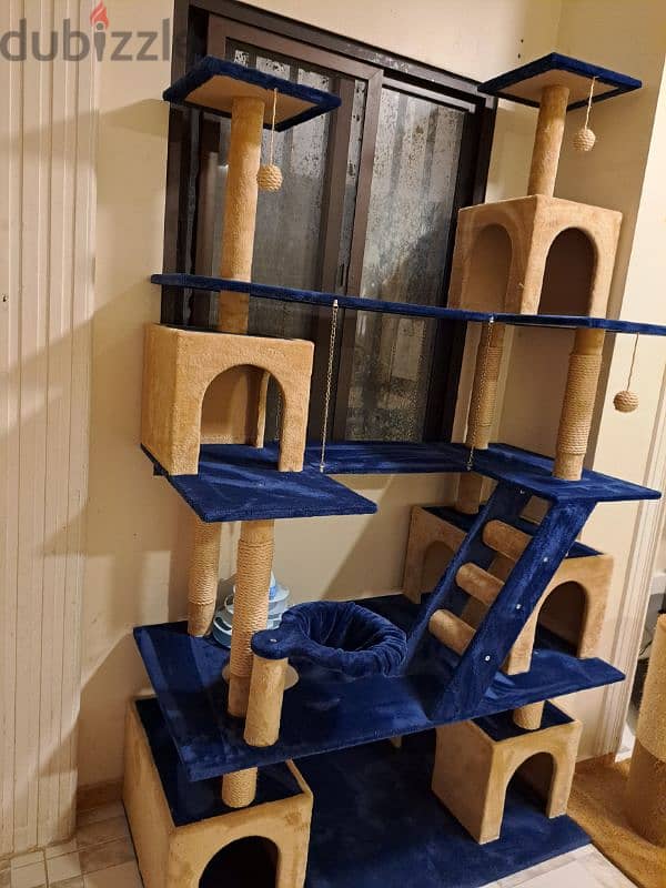 cat house 2