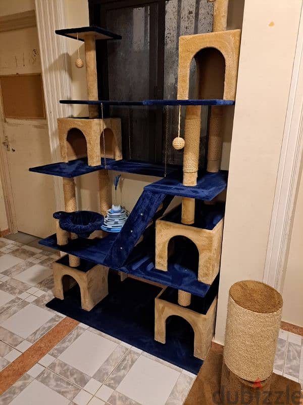 cat house 3