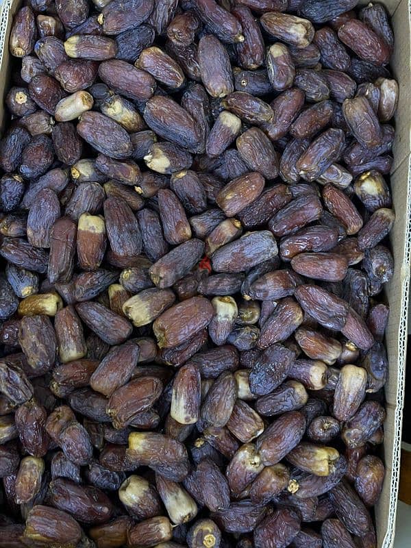 Freshly imported dates from Saudi Arabia 2