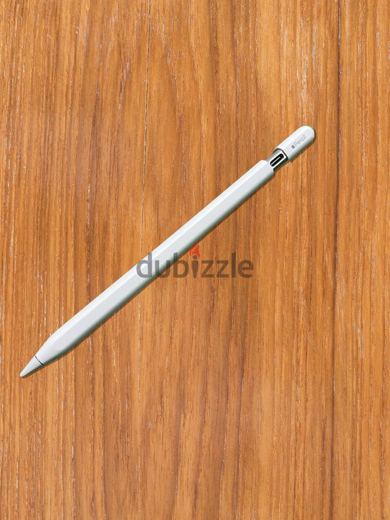 Apple Pencil (USB-C) – Excellent Condition! 2