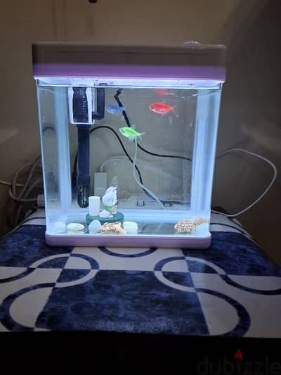 Fish Tank for sale