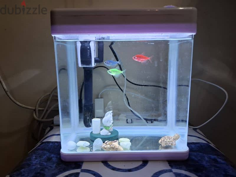 Fish Tank for sale 1