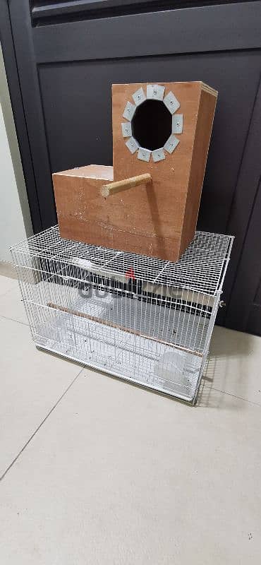 cage and nest box