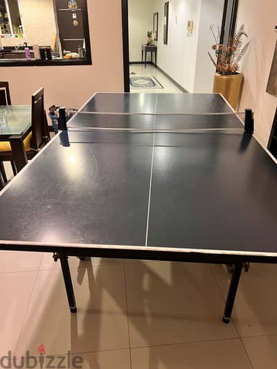 TABLE TENNIS