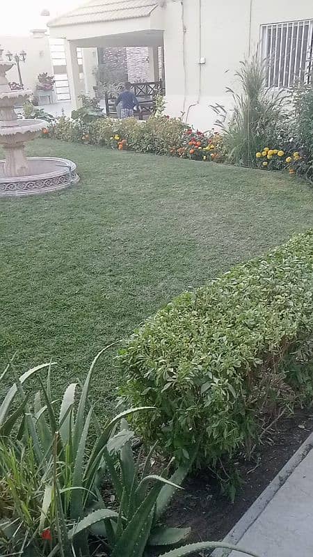 Garden Mantince New Garden Flower and Trees Grass cuting 1