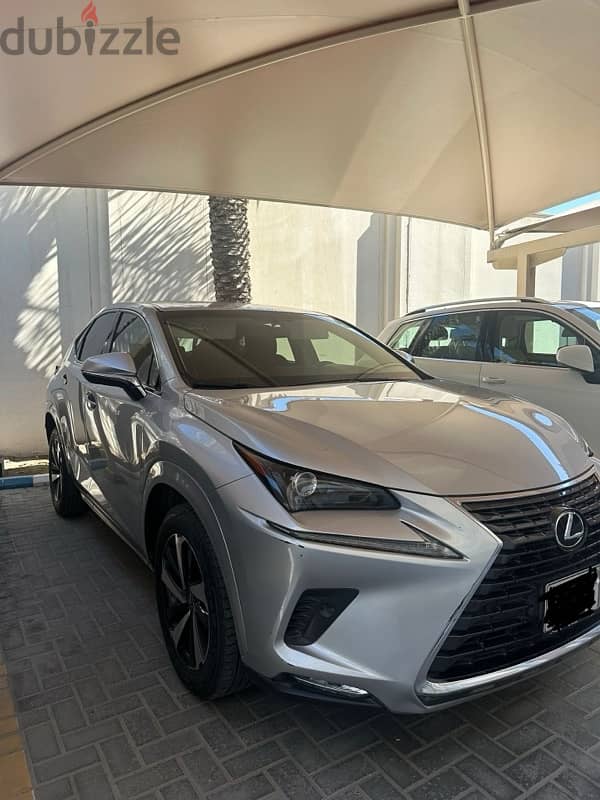 Lexus NX 300 2019 1