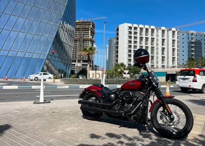 Harley Davidson - Street Bob Motorcycle