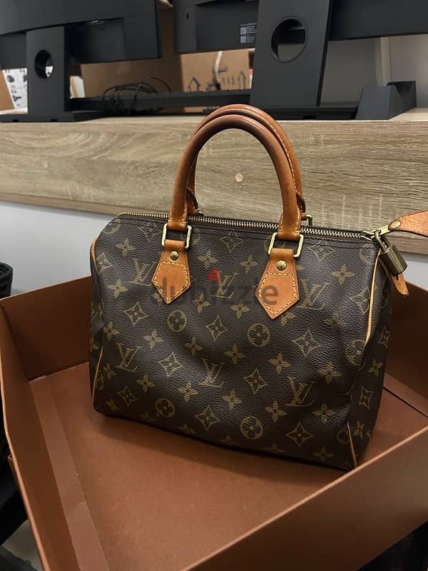 2 LV bags (copy) both for 5 bd 4