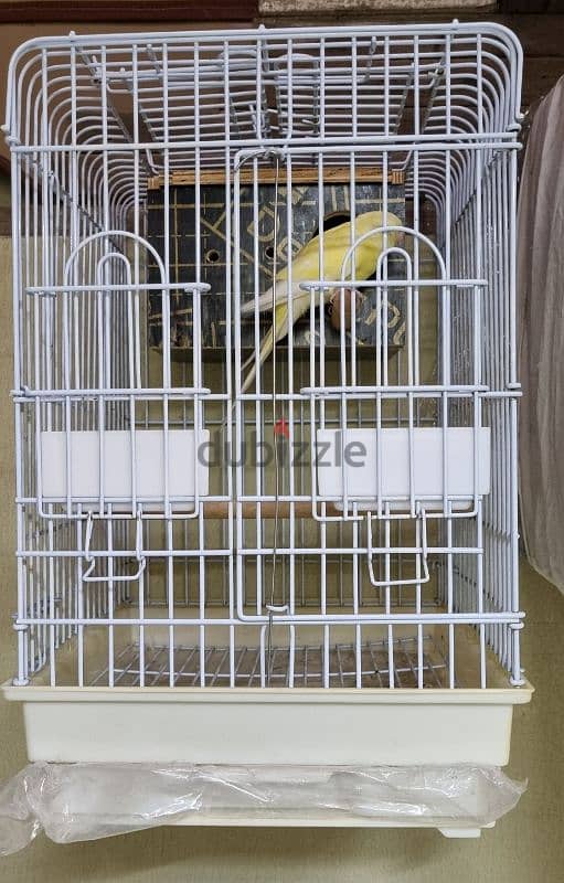 PARROT CAGE 1