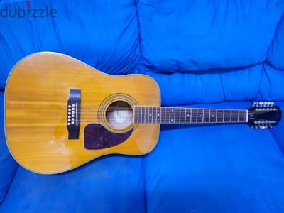 12 String Acoustic guitar with pickup, soft case & extra strings set