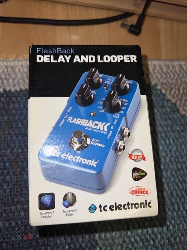 TC electronic FlashBack Delay And Looper 1