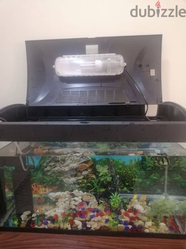 fish aquarium with filter and 4 fishes with decoration & like a light 2