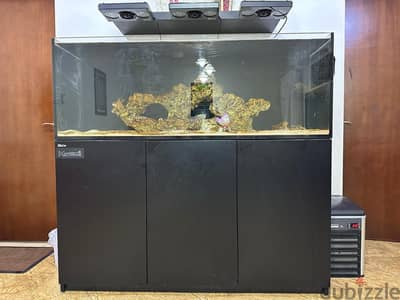 Fish tank for sale