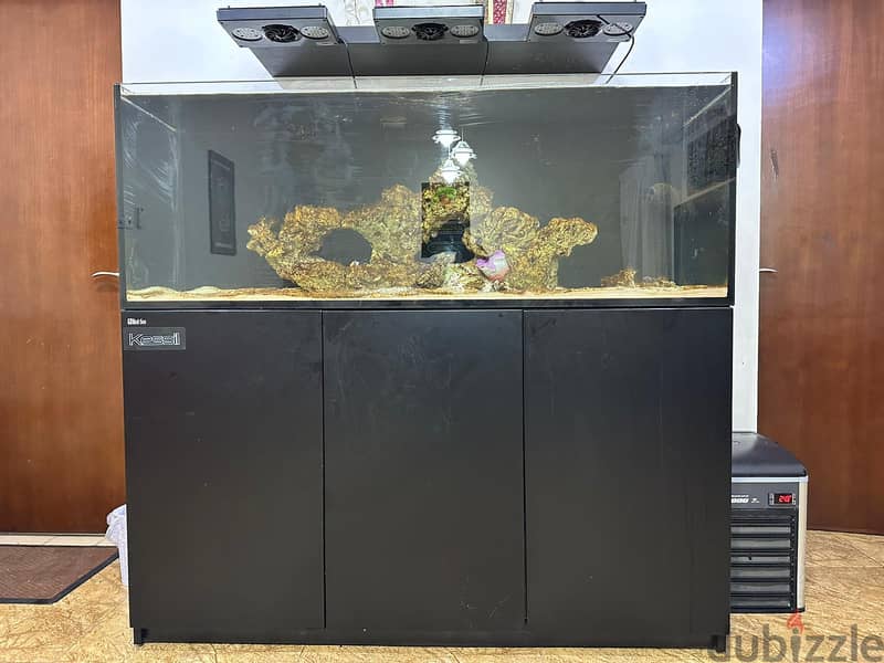 Fish tank for sale 0