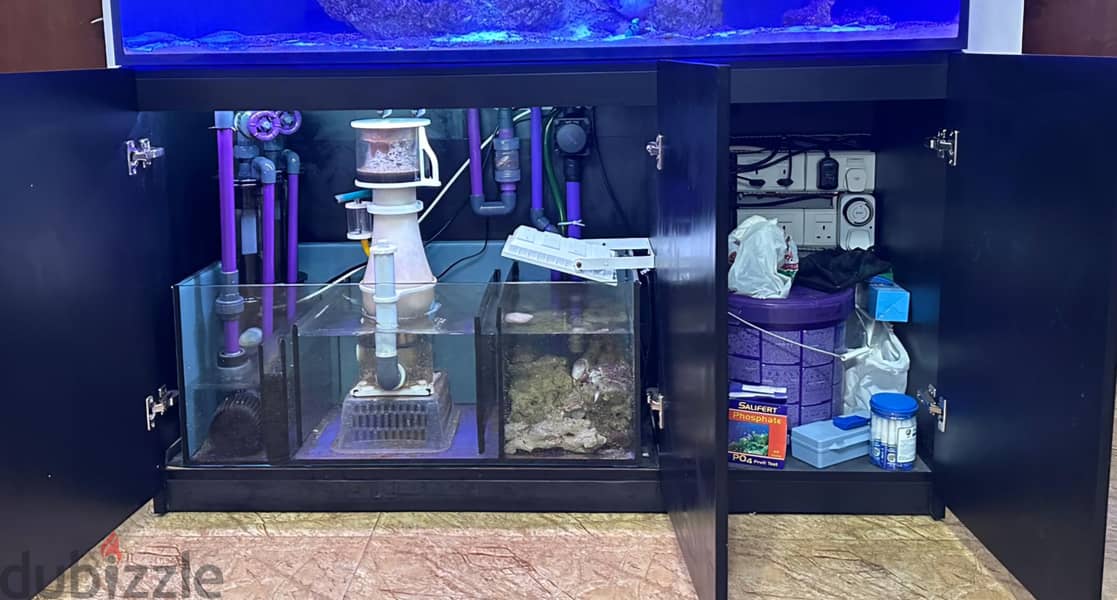 Fish tank for sale 1