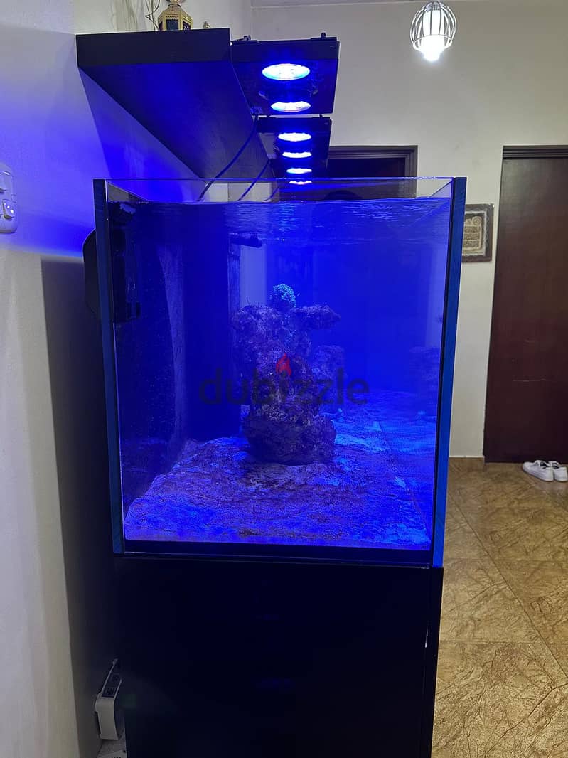 Fish tank for sale 6