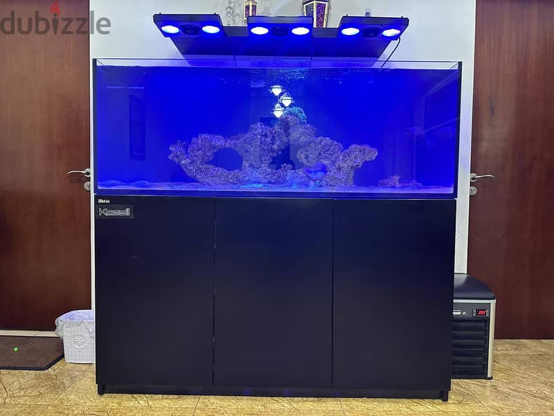 Fish tank for sale 8