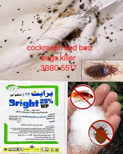 cockroach and bed bugs killer