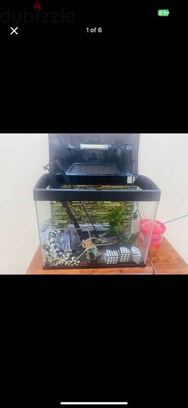 Fish Tank for Sale 10BD