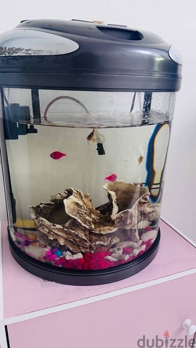 Aquarium medium