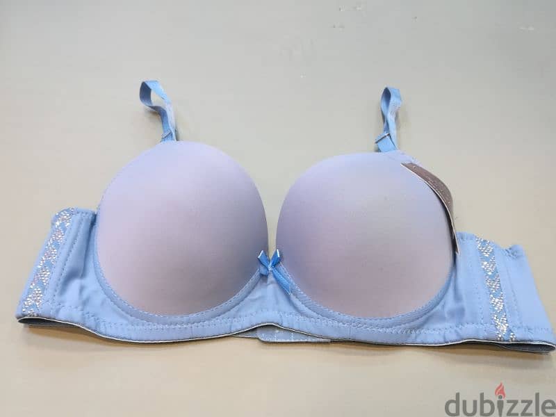 LADIES INNER WEAR BRA 1