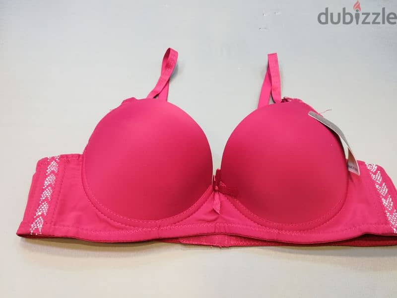 LADIES INNER WEAR BRA 2