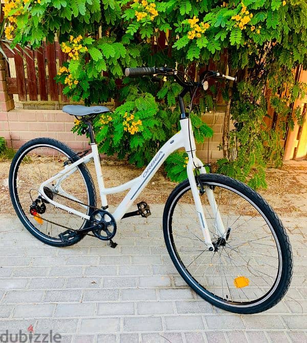 29" Branded Hybrid Bike (Orbea) 2