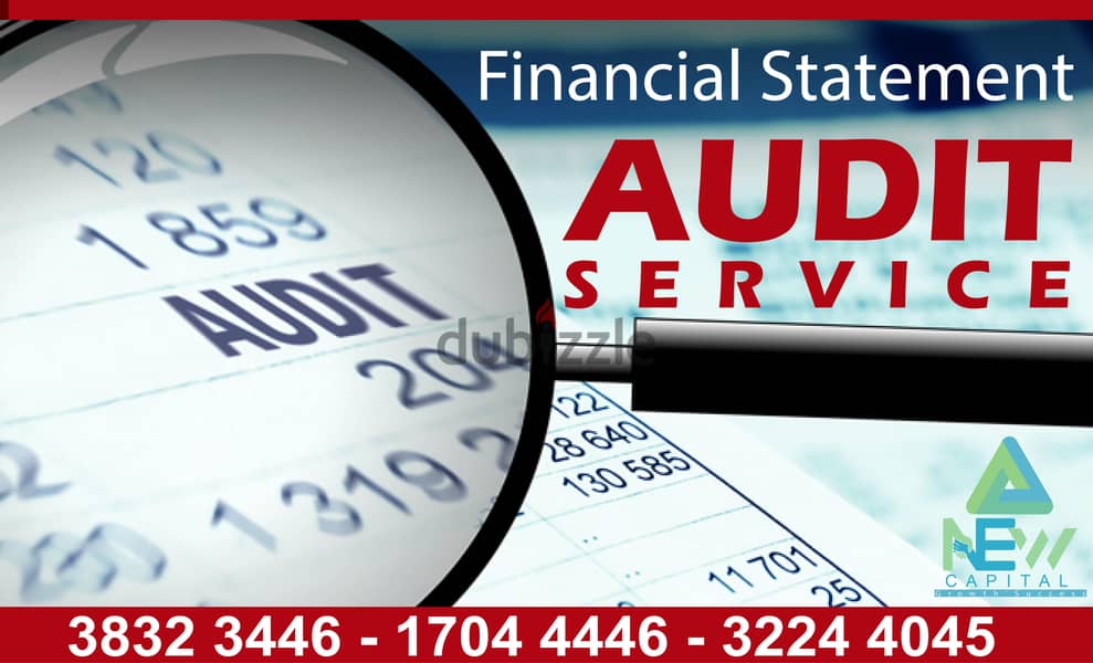 Financial Statement Audit Service 0