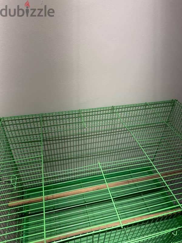 green bird cage 1