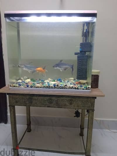 Fish tank with 3 fishes, filter, light and fish food.