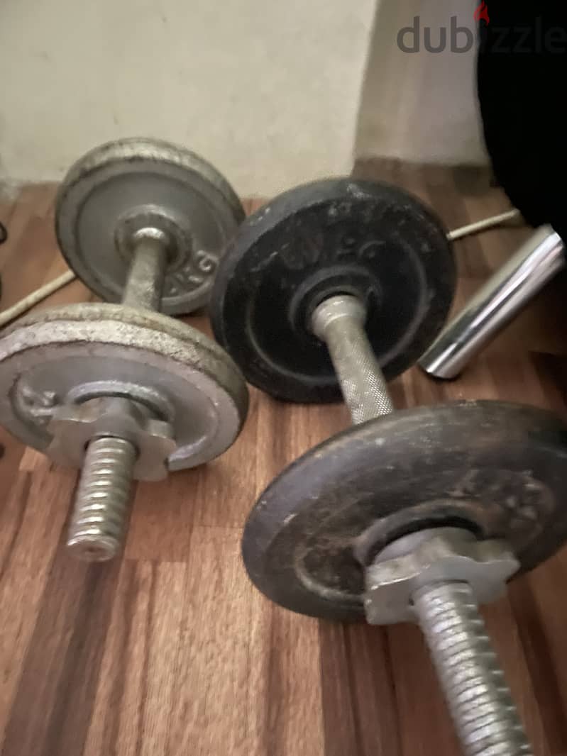 Dumbell 1